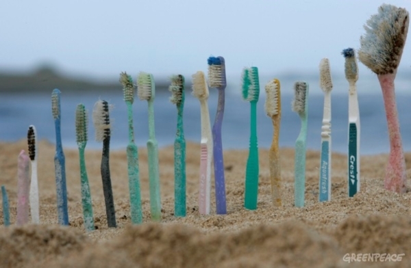 Brosse à dents Maline